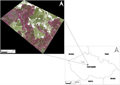 Detection of susceptible Norway spruce to bark beetle attack using PlanetScope multispectral imagery